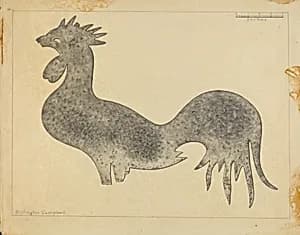 Weather Vane Cock by Rollington Campbell