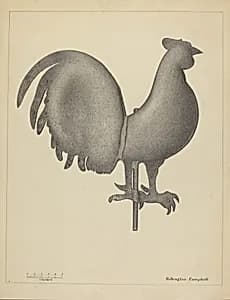 Weather Vane by Rollington Campbell