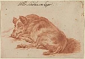 Portrait of German 18th Century