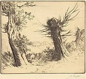 Willows (Les saules) by Alphonse Legros