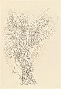 Portrait of Peter Takal