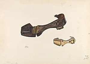 Woman's Clogs by Harry Grossen