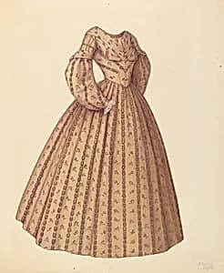 Woman's Dress by Julie C. Brush