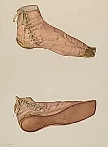 Woman's Silk Shoe by H. Langden Brown