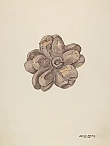 Wood Carving - Flower by Lionel Ritchey