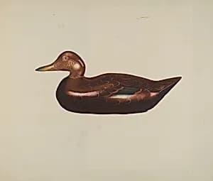 Wooden Duck by American 20th Century