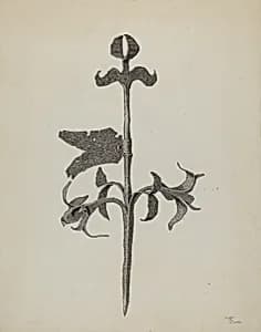 Wrought Iron Weather Vane by Hugh Clarke