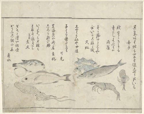 Zeedieren by Kitao Masayoshi