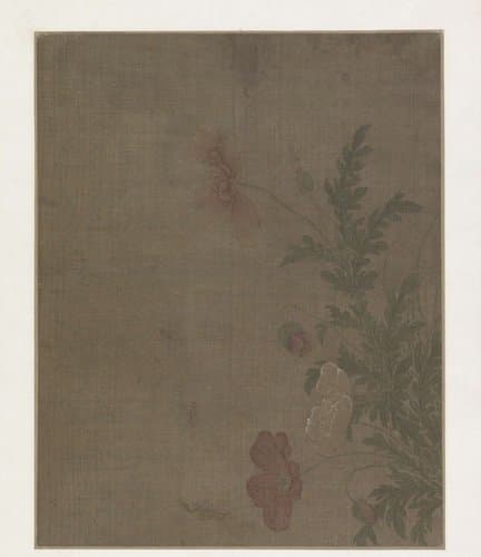 Papaverbloemen by anonymous