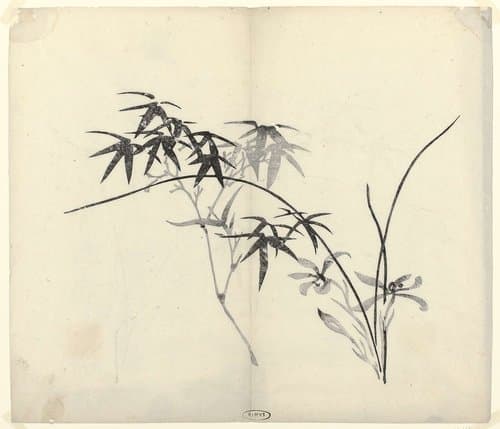Bamboe en Orchideeёn by anonymous