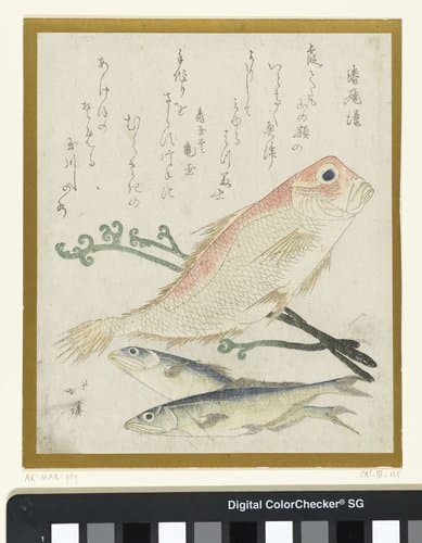 Drie vissen en adelaarsvaren by Totoya Hokkei