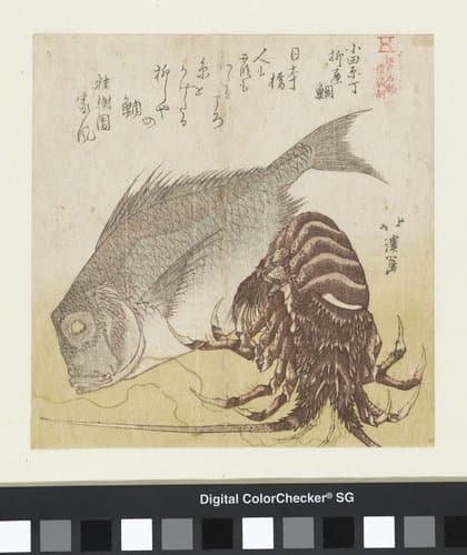 Edo meibutsu by Totoya Hokkei