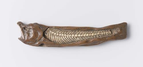 Netsuke in de vorm van een afgekloven vis by Miwa