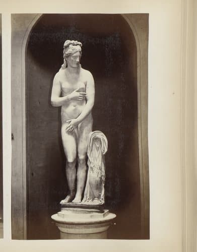 Sculptuur van Venus in de Capitolijnse Musea te Rome, Italië by anonymous