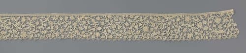 Strook naaldkant met veelsoortige bloemen en bladeren by anonymous