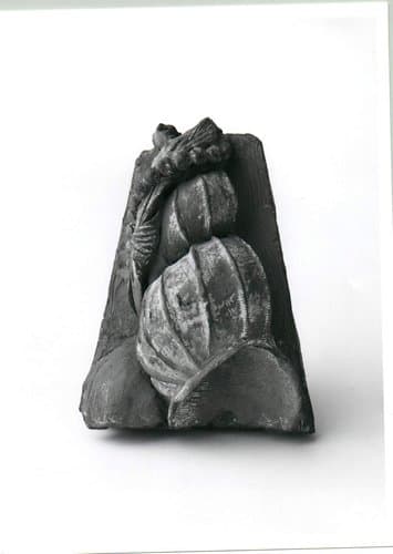 Fragment bestaande uit enkele schelpen by Artus Quellinus (I)