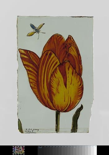 Ruit met tulp en insekt by anonymous