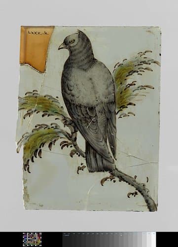 Ruit met een vogel op een tak by anonymous