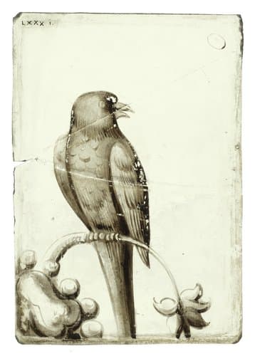 Ruit met een vogel op een kromgebogen tak by anonymous