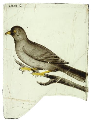 Ruit met een vogel op een tak by anonymous