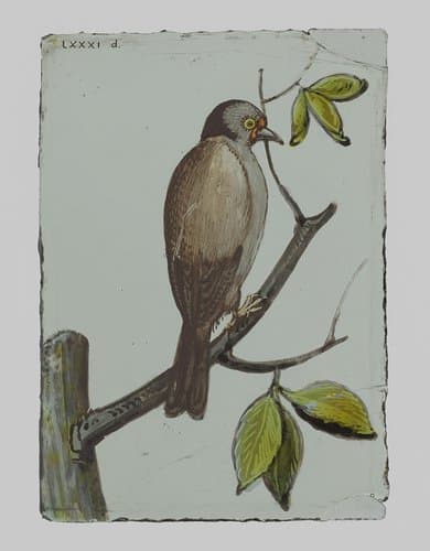 Ruit met een vogel met een tak in zijn snavel by anonymous