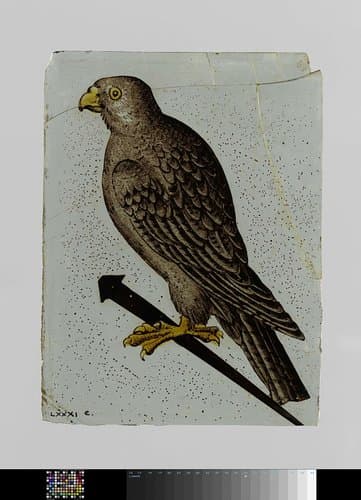 Ruit met een vogel op stok by anonymous