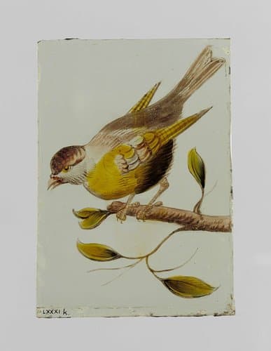 Ruit met een vogel by anonymous