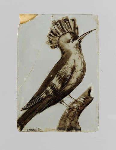 Ruit met een vogel op een tak by anonymous