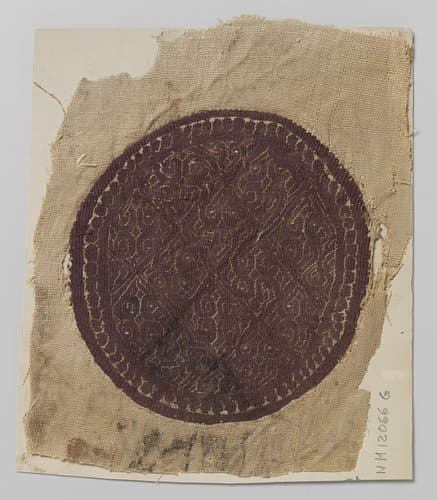 Weefselfragment met orbiculus by anonymous