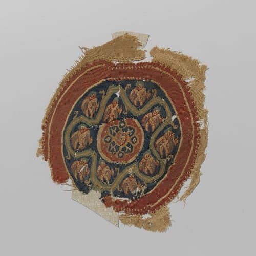 Weefselfragment met orbiculus by anonymous