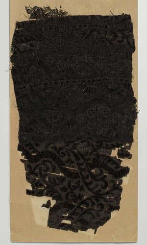 Fragment van een mantel van ciseléfluweel met kloskant by anonymous