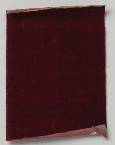 Fragment rode fluweel by anonymous
