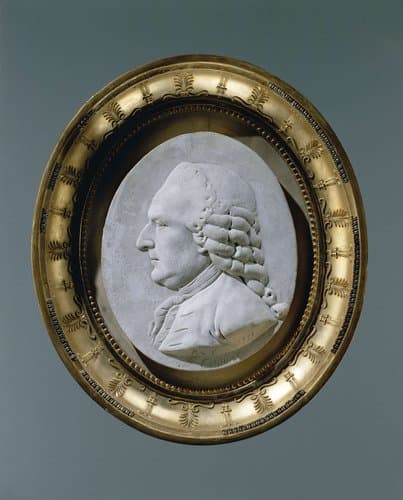 Portrait of Petrus Camper