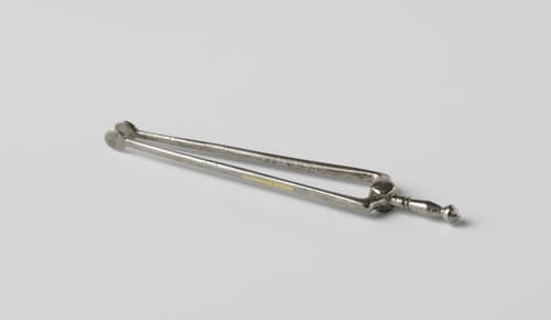 Haardtang met ronde steel met ringversiering by anonymous