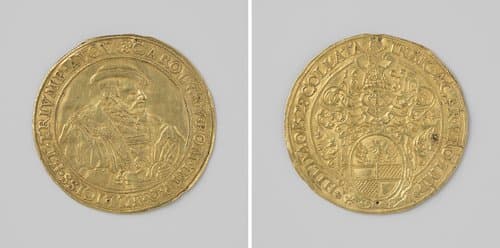 Karel V schenkt de stad Hildesheim een wapen by anonymous