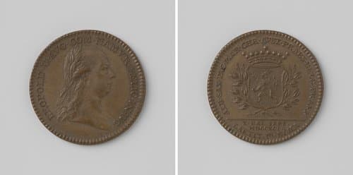 Inhuldiging van Leopold II, Duits keizer, als graaf van Namen en Maria Christina en Albert-Kasimir hersteld als landvoogden der zuidelijke Nederlanden by anonymous