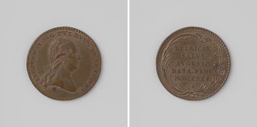 Inhuldiging van Leopold II, Duits keizer, als graaf van Vlaanderen en hertog van Brabant en Bourgondie by anonymous