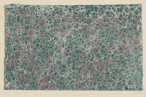 Ringkiezelmarmer in groen en roze by anonymous