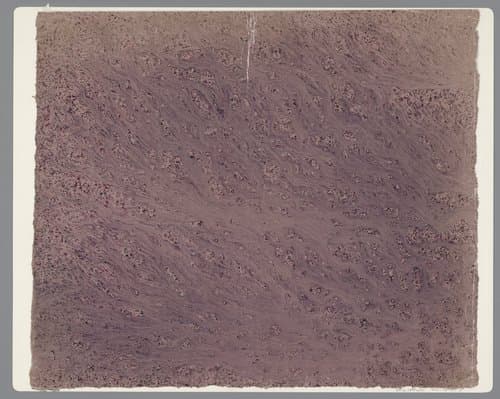 Stroommarmer in rood en zwart op roze papier by anonymous