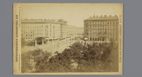 Gezicht op de Kärntnerstrasse te Wenen, Oostenrijk by M. Frankenstein & Co.