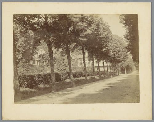 Weg met bomen nabij Kleef by anonymous