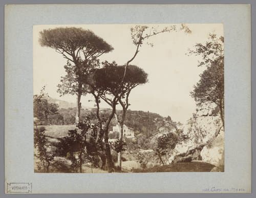 Gezicht op Capri da Massa met pijnbomen by anonymous