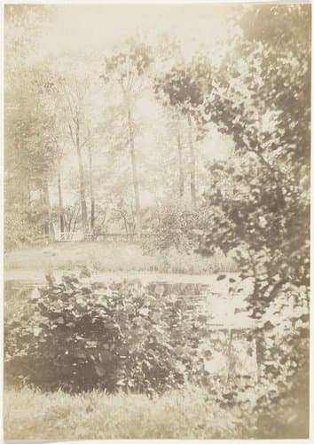 Boslandschap met meer by anonymous