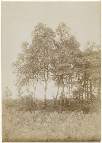 Landschap met bomen by anonymous