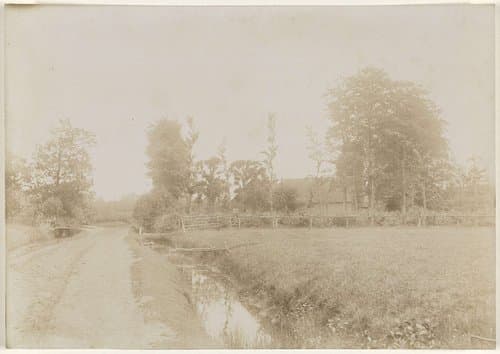 Landschap met bomen by anonymous