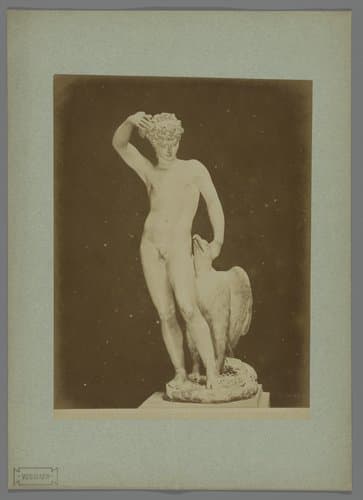 Sculptuur van Ganymedes en Jupiter als adelaar in de Galleria degli Uffizi te Florence, Italië by Fratelli Alinari