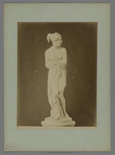 Galleria Pitti. Venere. (A Canova) by Fratelli Alinari