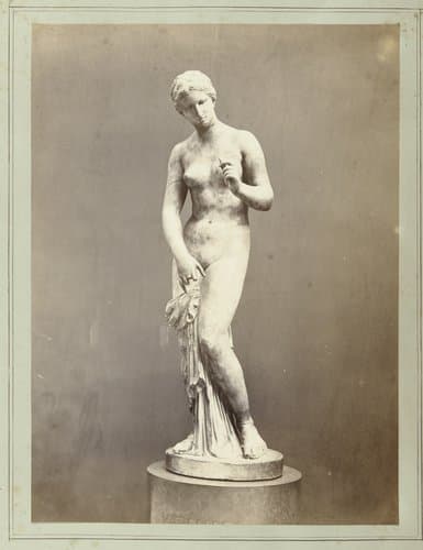 Sculptuur van Venus by anonymous