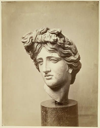 Apollo (Pourtales) British Museum by Stephen Thompson