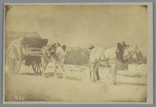 Paarden voor een kar by anonymous
